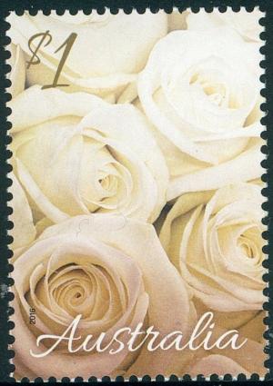 Colnect-3091-737-White-Rose.jpg