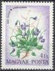 Colnect-531-371-Violets.jpg