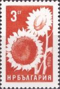 Colnect-3176-738-Sunflower.jpg