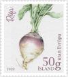 Colnect-7362-395-Turnips.jpg