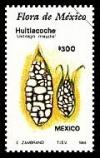 Colnect-307-093-Huitlacoche.jpg