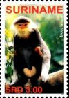 Colnect-3981-663-Douc-langur.jpg