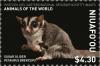 Colnect-5577-133-Sugar-Glider.jpg