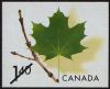 Colnect-577-083-Maple-Leaf.jpg