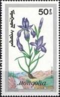 Colnect-1260-333-Iris-sibrica.jpg