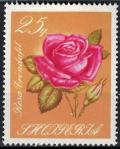 Colnect-3603-934-Rose.jpg