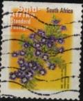 Colnect-3982-133-Karoo-Violet.jpg