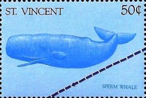 Colnect-5571-053-Sperm-whale.jpg