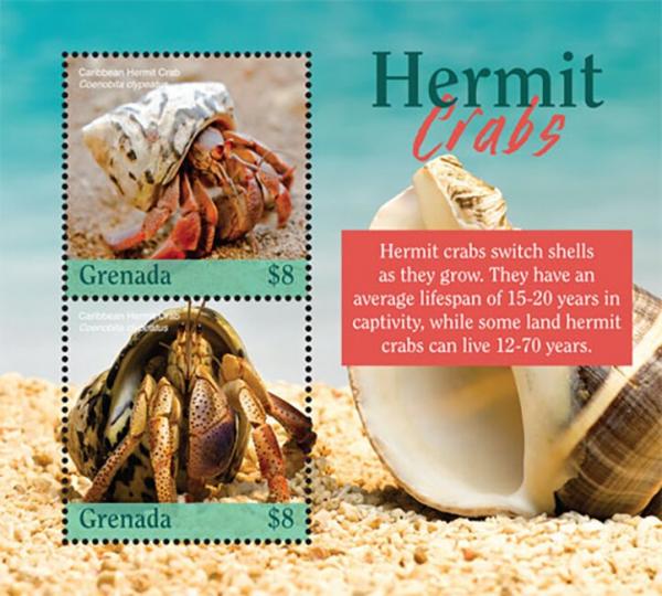 Colnect-5753-773-Hermit-Crabs.jpg