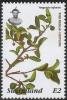 Colnect-5829-623-Wild-Medlar.jpg