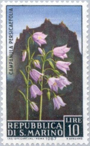 Colnect-171-541-Campanula.jpg