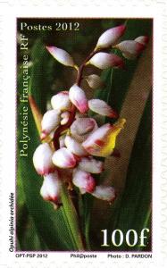 Colnect-1312-942-Alpinia-sp.jpg