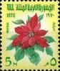 Colnect-1312-043-Poinsettia.jpg