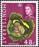 Colnect-2142-453-Cabbage.jpg