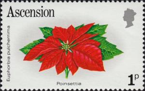 Colnect-5605-146-Poinsettia.jpg