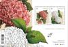 Colnect-3216-347-Hydrangeas.jpg