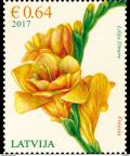 Colnect-4274-473-Freesia.jpg