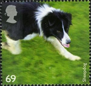 Colnect-521-247-Sheepdog.jpg