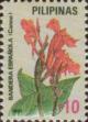 Colnect-2957-472-Canna-sp.jpg