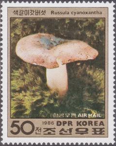 Colnect-1694-480-Russula.jpg