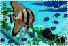 Colnect-5576-493-Batfish.jpg