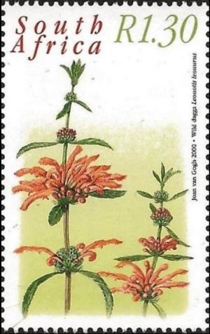 Colnect-3057-149-Wild-dagga.jpg