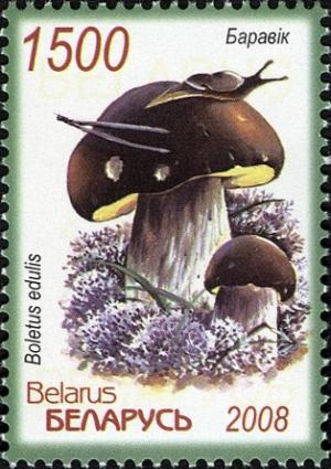 Colnect-749-490-Boletus.jpg