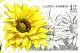 Colnect-1425-249-Sunflower.jpg