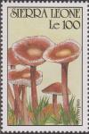 Colnect-1496-904-Mycena-pura.jpg