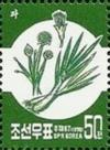 Colnect-2472-744-Green-onion.jpg