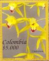 Colnect-3327-434-Cymbidium-sp.jpg