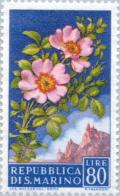 Colnect-169-634-Wild-roses.jpg