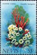 Colnect-4411-504-Flower-coral.jpg