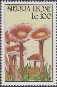 Colnect-1496-904-Mycena-pura.jpg