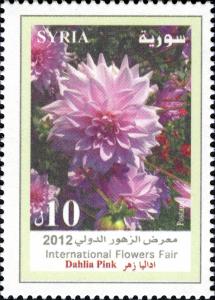 Colnect-1852-024-Dahlia-Pink.jpg