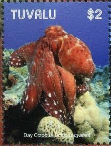 Colnect-6440-974-Day-Octopus.jpg