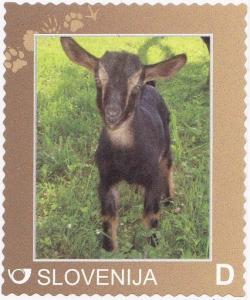 Colnect-2374-699-Goat.jpg