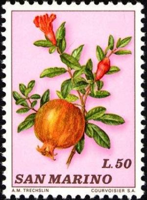 Colnect-1685-854-Pomegranate.jpg