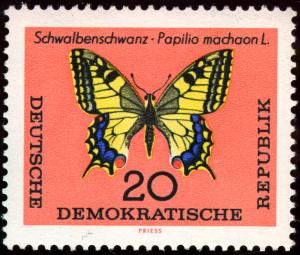 DDR-1964-003.jpg