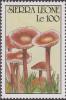 Colnect-1496-904-Mycena-pura.jpg