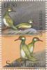 Colnect-4221-024-Hesperornis.jpg