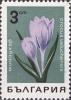 Colnect-3519-694-Wild-crocus.jpg