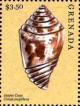 Colnect-6020-984-Jasper-cone.jpg