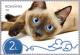 Colnect-6480-914-Siamese-Cat.jpg