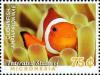 Colnect-5812-652-Clownfish.jpg