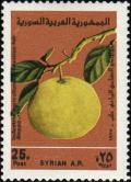 Colnect-2172-052-Grapefruit.jpg