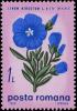 Colnect-5064-352-Downy-flax.jpg