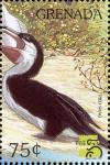 Colnect-4391-153-Pied-shag.jpg