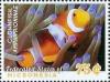 Colnect-5812-653-Clownfish.jpg