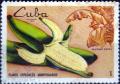 Colnect-3137-531-Bananas.jpg